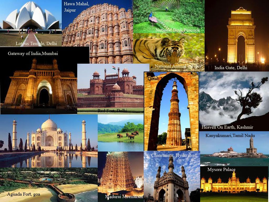 tour operators visnagar